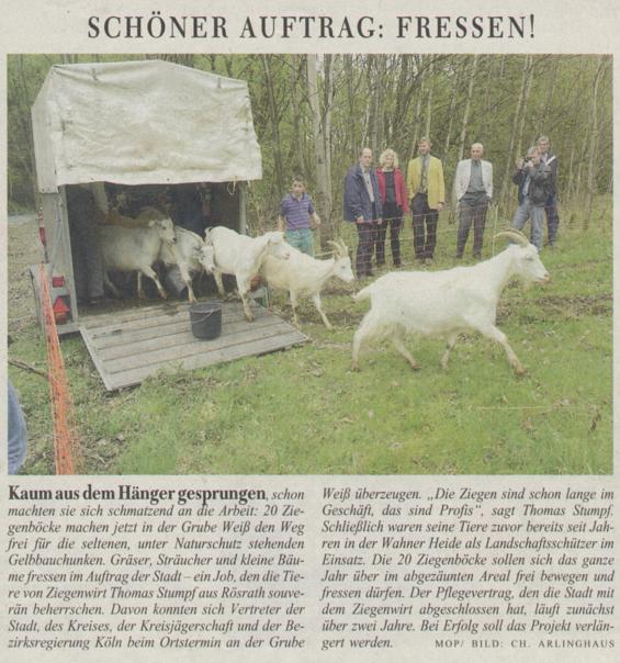 Zeitungsartikel Klner Stadt-Anzeiger
