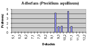 Adlerfarn (Pteridium aquilinum)