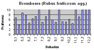Brombeere (Rubus fruticosus agg.)