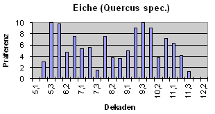 Eiche (Quercus spec.)
