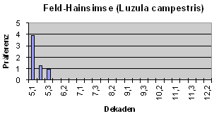 Feld-Hainsimse (Luzula campestris)