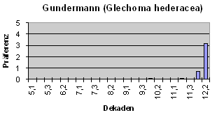 Gundermann (Glechoma hederacea)