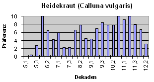 Heidekraut (Calluna vulgaris)