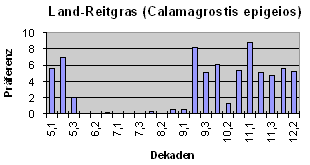Land-Reitgras (Calamagrostis epigeios)