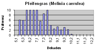 Pfeifengras (Molinia caerulea)
