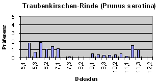 Traubenkirsche-Rinde (Prunus serotina)