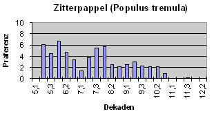 Zitterpappel (Populus tremula)
